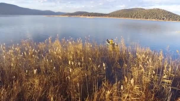 Drone Vista Naturaleza Volar Imágenes de stock libres de derechos