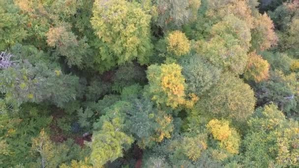 caméra drone vue nature 