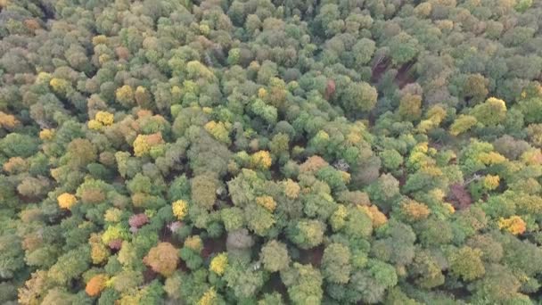 Câmera Drone Vista Natureza — Vídeo de Stock