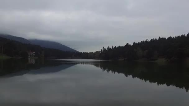 Dron Mosca Lago Bosque — Vídeo de stock