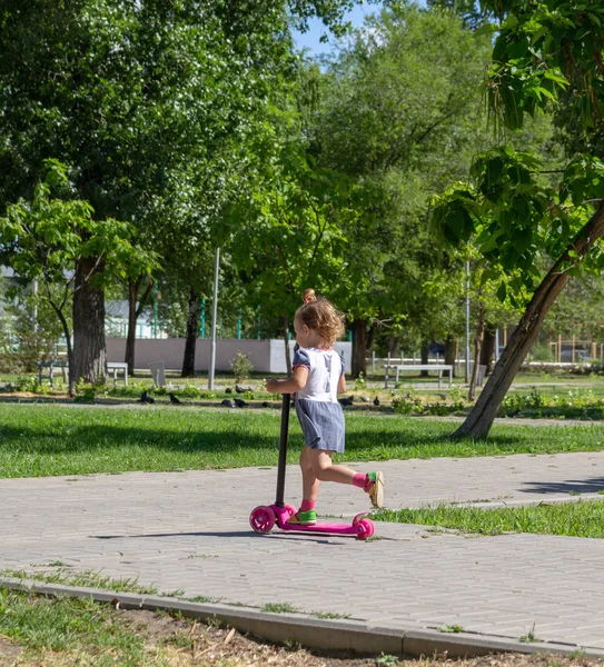 Lindo Niño Patina Hábilmente Una Scooter Rosa Dos Ruedas Día —  Fotos de Stock