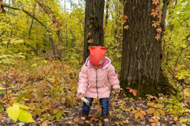 Çocuk ormanda mantar toplar
