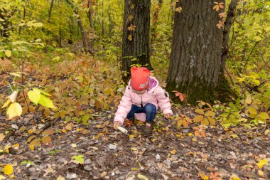 Çocuk ormanda mantar toplar