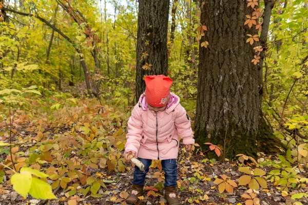 Çocuk ormanda mantar toplar