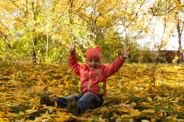 Child Park Background Autumn Foliage — Stock Photo, Image