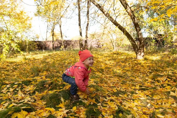 Child Park Background Autumn Foliage — Stock Photo, Image