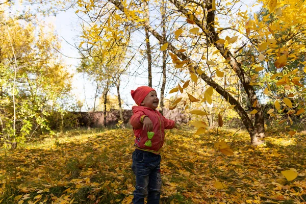 Gyermek Parkban Háttérben Őszi Lombozat — Stock Fotó