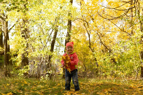 Çocuk Parkta Sonbahar Yeşillik Zemin Üzerine — Stok fotoğraf
