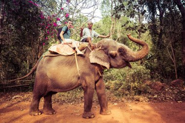 Goa, Hindistan - 20 Aralık 2018: Hint filine binen turist