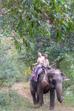 Goa, Hindistan - 20 Aralık 2018: Hint elephan'ına binen turist