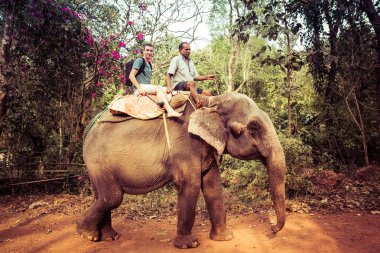 Goa, Hindistan - 20 Aralık 2018: Hint elephan'ına binen turist