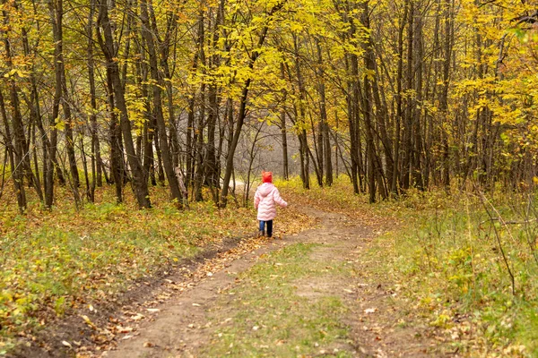 Pequeno bebê caminhando na floresta de outono — Fotografia de Stock