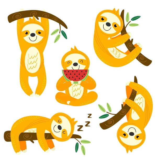 Set Isolated Funny Sloths Vector Illustration Eps — Stock Vector