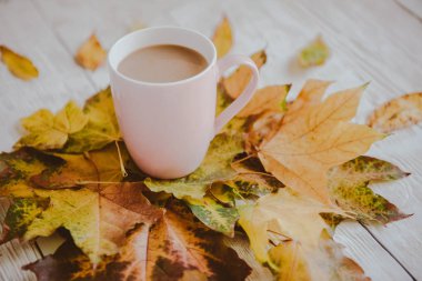 Kahve fincanı ve sarı sonbahar yaprakları. Durgun hayat, üst bakış açısı, düz yatak..