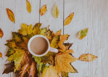Kahve fincanı ve sarı sonbahar yaprakları. Durgun hayat, üst bakış açısı, düz yatak..