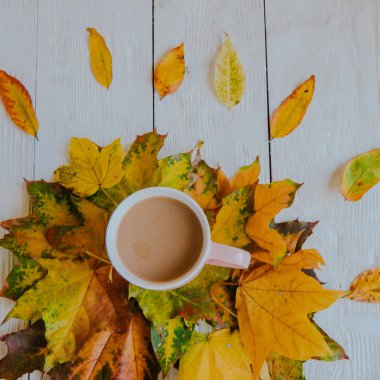 Kahve fincanı ve sarı sonbahar yaprakları. Durgun hayat, üst bakış açısı, düz yatak..