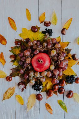 Sonbahar hala hayattır. elma, balkabağı, nar, viburnum, yapraklar.