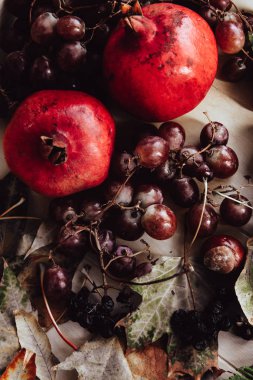 Sonbahar hala hayattır. elma, balkabağı, nar, viburnum, yapraklar.