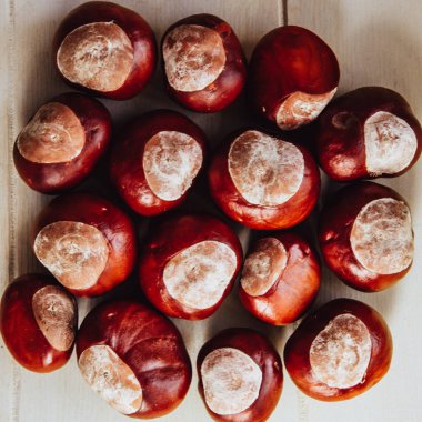 Olgun kestaneler eski ahşap masa ve çuval peçeteler fotokopi alanı ile yakın.