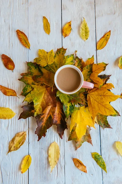 Kahve fincanı ve sarı sonbahar yaprakları. Durgun hayat, üst bakış açısı, düz yatak..