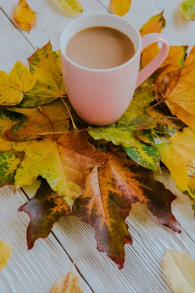 Kahve fincanı ve sarı sonbahar yaprakları. Durgun hayat, üst bakış açısı, düz yatak..