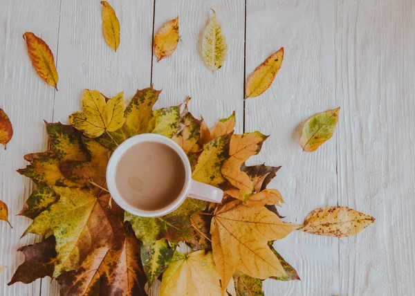 Kahve fincanı ve sarı sonbahar yaprakları. Durgun hayat, üst bakış açısı, düz yatak..