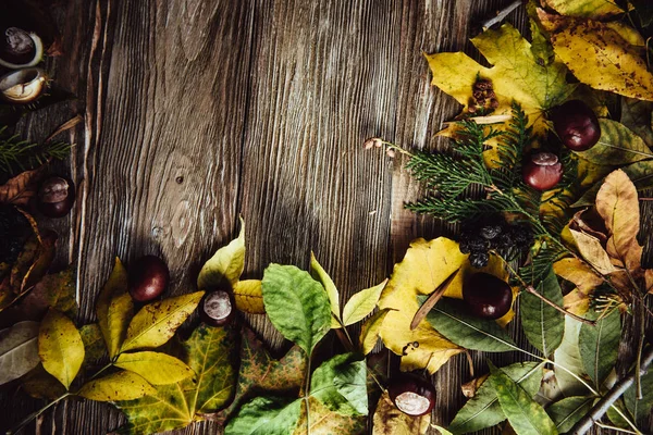 Podzimní Dřevěné Pozadí Zelenými Žlutými Listy Flatlay — Stock fotografie