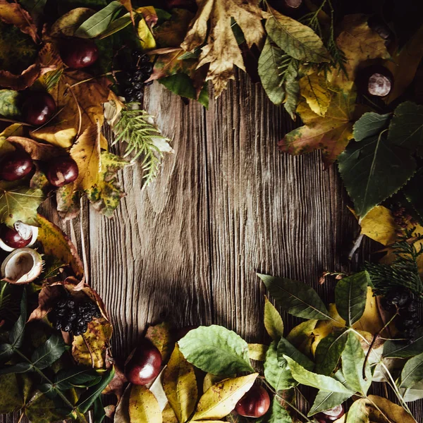 Podzimní Dřevěné Pozadí Zelenými Žlutými Listy Flatlay — Stock fotografie