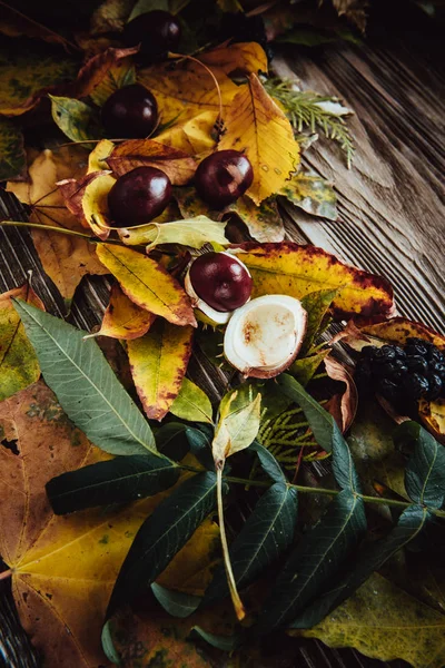 Podzimní Dřevěné Pozadí Zelenými Žlutými Listy Flatlay — Stock fotografie