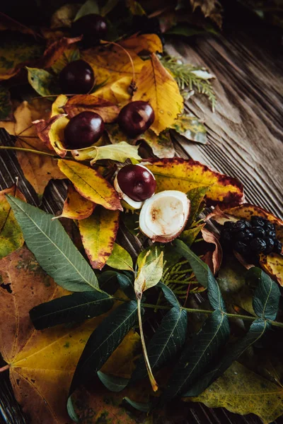 Podzimní Dřevěné Pozadí Zelenými Žlutými Listy Flatlay — Stock fotografie