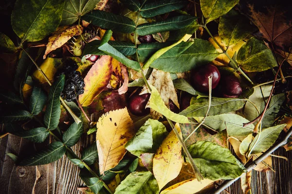 Podzimní Dřevěné Pozadí Zelenými Žlutými Listy Flatlay — Stock fotografie