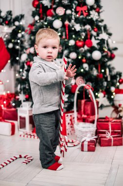 Genç bir çocuğun Noel portresi şöminenin ve Noel ağacının etrafında rahat bir atmosfer.