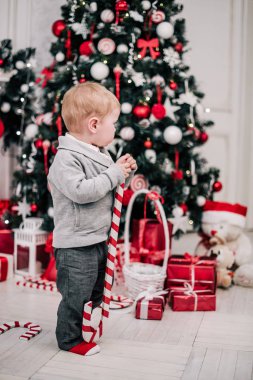 Genç bir çocuğun Noel portresi şöminenin ve Noel ağacının etrafında rahat bir atmosfer.