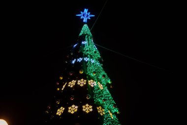Parlak çelenk ile büyük Noel ağacı görünümünü sokakta Gomel, Beyaz Rusya