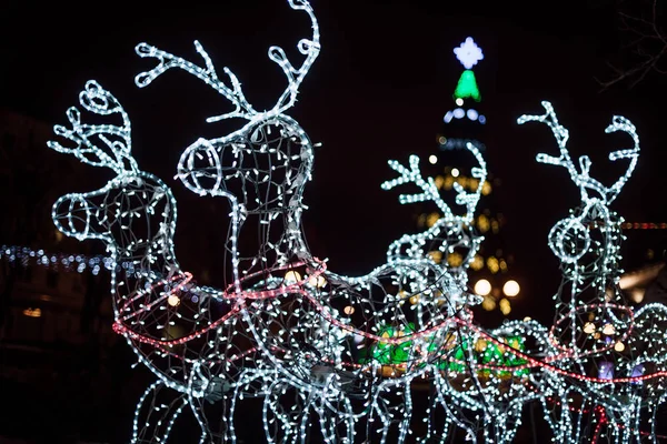 Verlichting Decoratie Kerstboom Homel Wit Rusland — Stockfoto