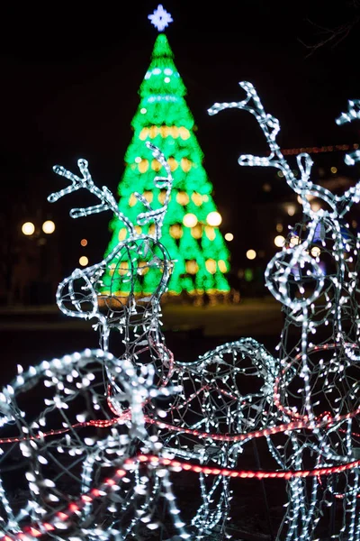 Verlichting Decoratie Kerstboom Homel Wit Rusland — Stockfoto