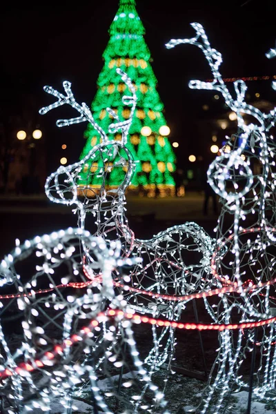 Verlichting Decoratie Kerstboom Homel Wit Rusland — Stockfoto