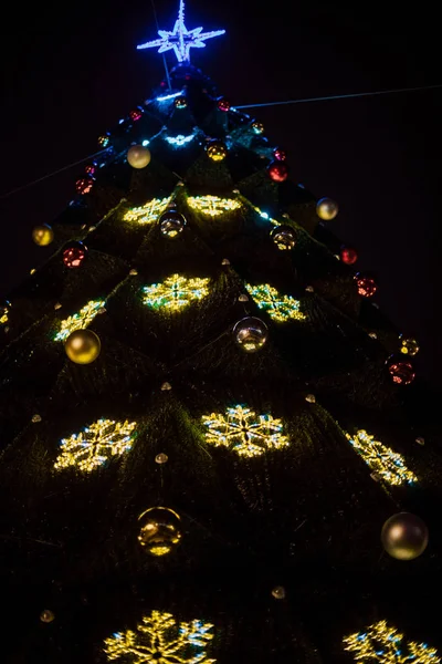 Vista Grande Árvore Natal Com Guirlandas Brilhantes Rua Gomel Bielorrússia — Fotografia de Stock