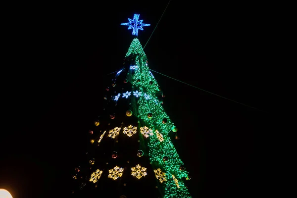 Vista Grande Árvore Natal Com Guirlandas Brilhantes Rua Gomel Bielorrússia — Fotografia de Stock