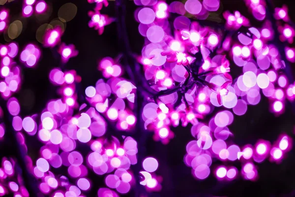 Close Abstract Lilac Lights Tree Branches — Stock Photo, Image