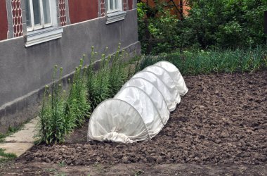 Mini greenhouse for growing seedlings and vegetables clipart