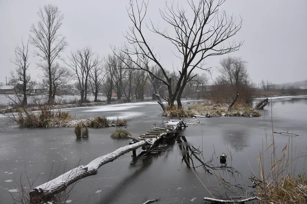 在有树木和一座桥的冰封湖面上的冬季景观 — 图库照片