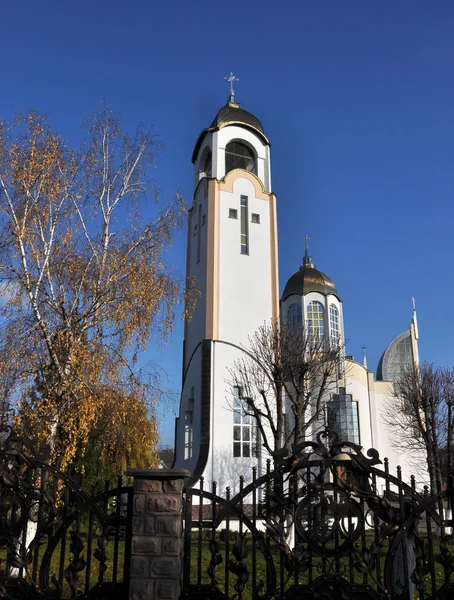 Chortkiv Ternopil Ucrania Noviembre 2017 Campanario Catedral Los Apóstoles Supremos — Foto de Stock