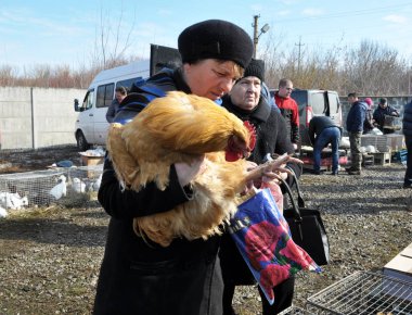 Chortkiv - Ternopil - Ukrayna - Nisan 2018. Geleneksel yıllık sergi Evcil hayvanlar ve kuşlar Ukrayna Chortkiv şehir içinde