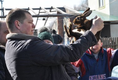 Chortkiv - Ternopil - Ukrayna - Nisan 2018. Geleneksel yıllık sergi Evcil hayvanlar ve kuşlar Ukrayna Chortkiv şehir içinde
