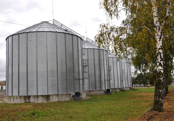 Silos Склади Зберігання Сипучих Матеріалів Сільському Господарстві — стокове фото