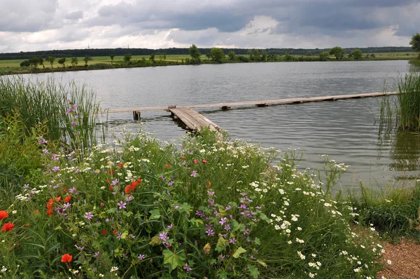 夏天的风景与池塘 码头和野生花卉在岸上 — 图库照片