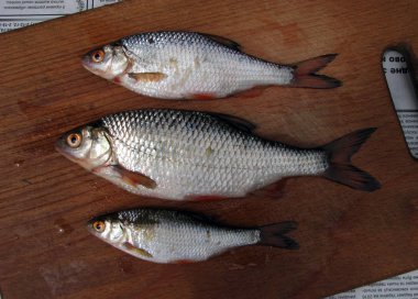 Mutfak için ahşap bir gemide taze Nehir balığı