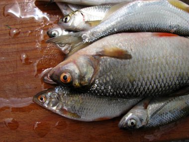 Mutfak için ahşap bir gemide taze Nehir balığı