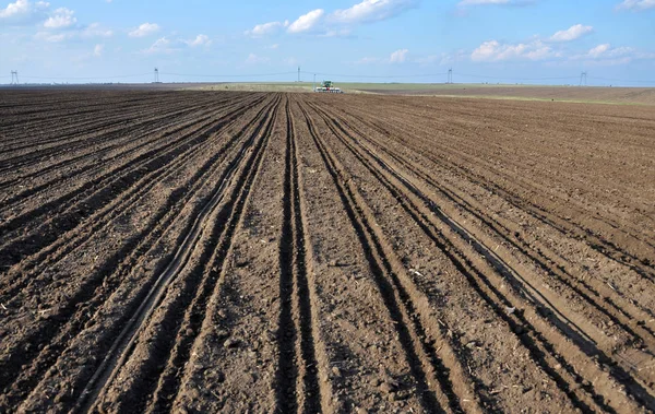 Campo Primavera Con Sembradora Precisión Sembrando Remolacha Azucarera Superficie Del — Foto de Stock